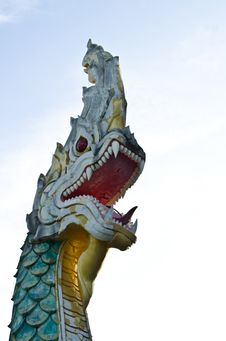Head Of The Serpent Stock Image Head Of The Serpent Stock Image
