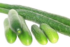 Three Sorts Of Cucumber Royalty Free Stock Photography Three Sorts Of Cucumber Royalty Free Stock Photography