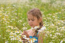 Little Girl Picking Flowers Royalty Free Stock Photo Little Girl Picking Flowers Royalty Free Stock Photo
