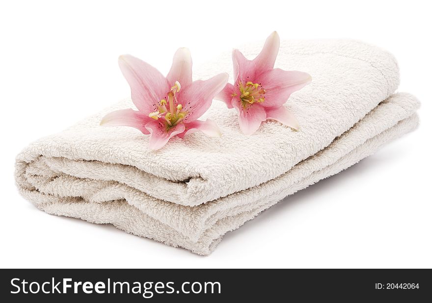 Lily and towel on a white background
