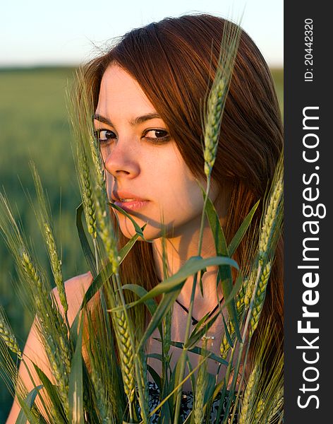 Young woman holding cereal crops in a field. Young woman holding cereal crops in a field