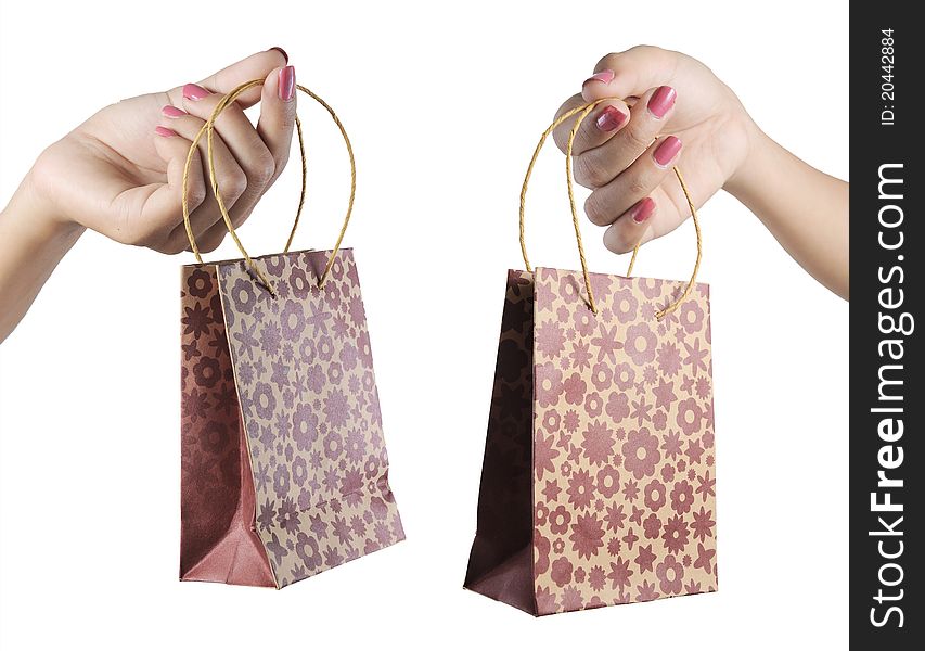 Female hand holding shopping bag
