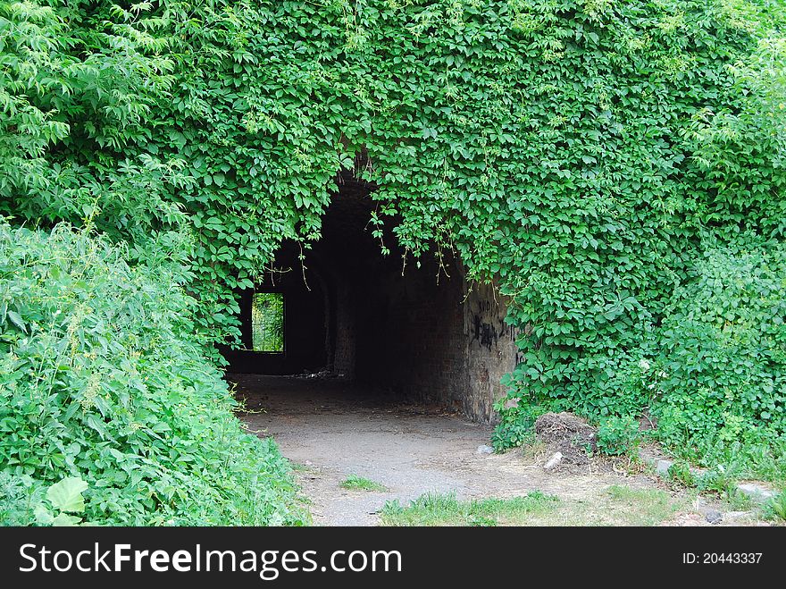 Input in a vault grown with greens