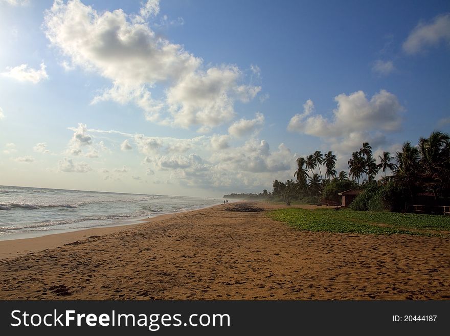 Windy Morning On The Beach