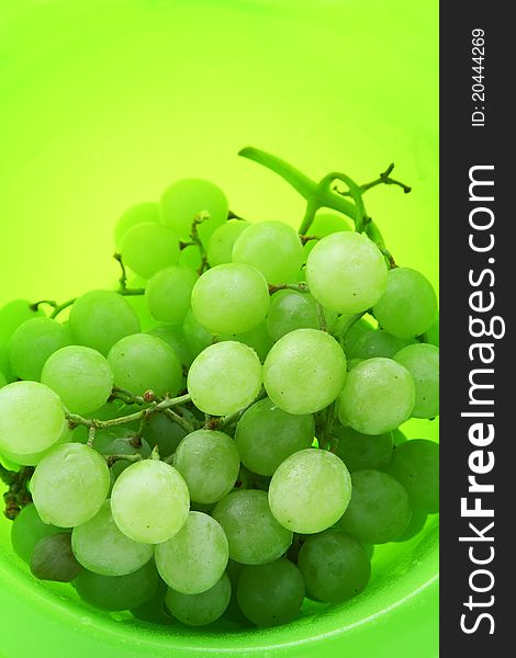 Image of bright green background with wet grapes