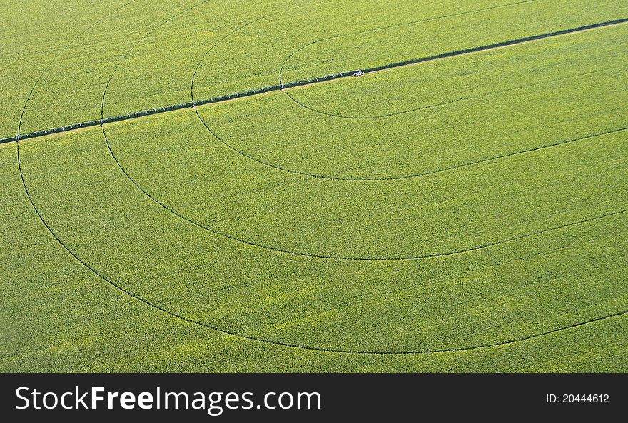 Green wheat field with reflection of water lines and planting in the countryside