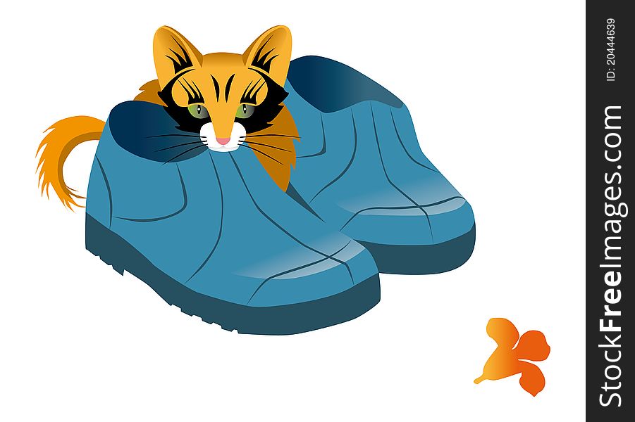Little cat hiding behind a pair of blue shoes, watching us from there. In the foreground an orange flower. White background.
