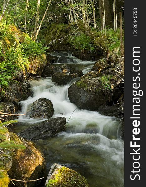 Small waterfall in summer forest. Small waterfall in summer forest