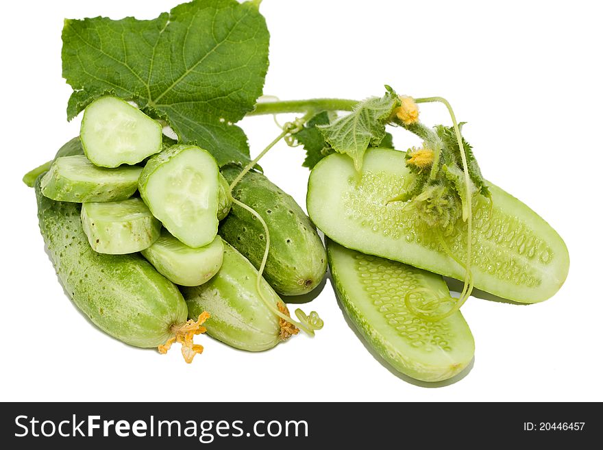 Cucumber and leaves on white background