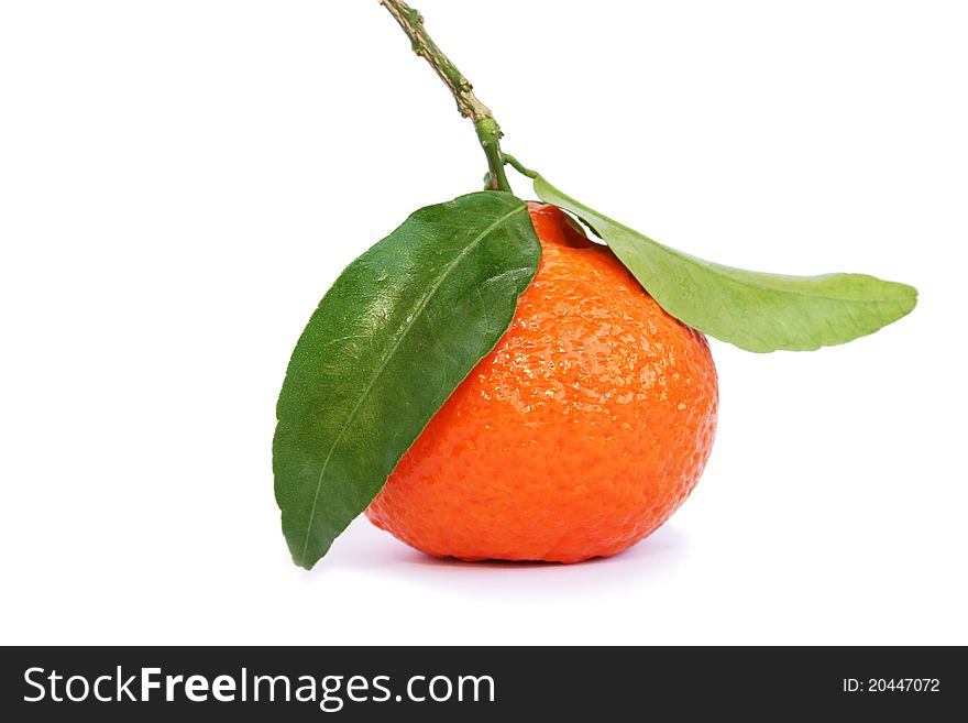 Ripe tangerine on white background.