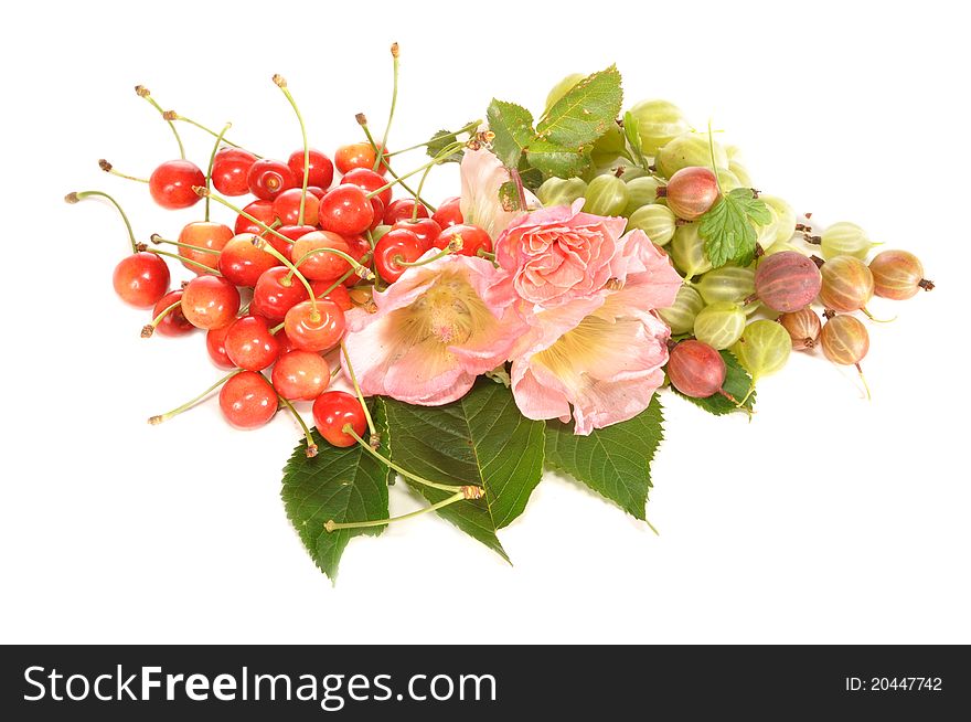 Bouquet from a sweet cherry, a gooseberry and colors lavatera. Bouquet from a sweet cherry, a gooseberry and colors lavatera