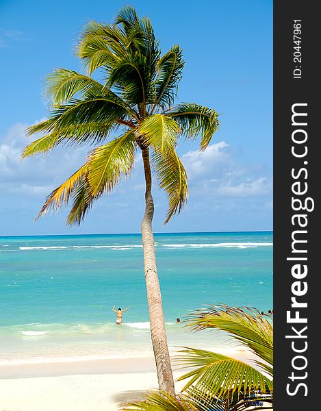 Caribbean beach with palm and white sand with the coast in the background