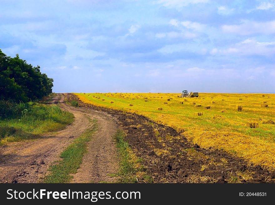 Rural road at harvest in bright sunny day