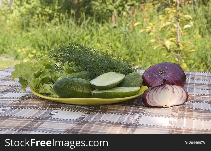 Vegetables on table in garden