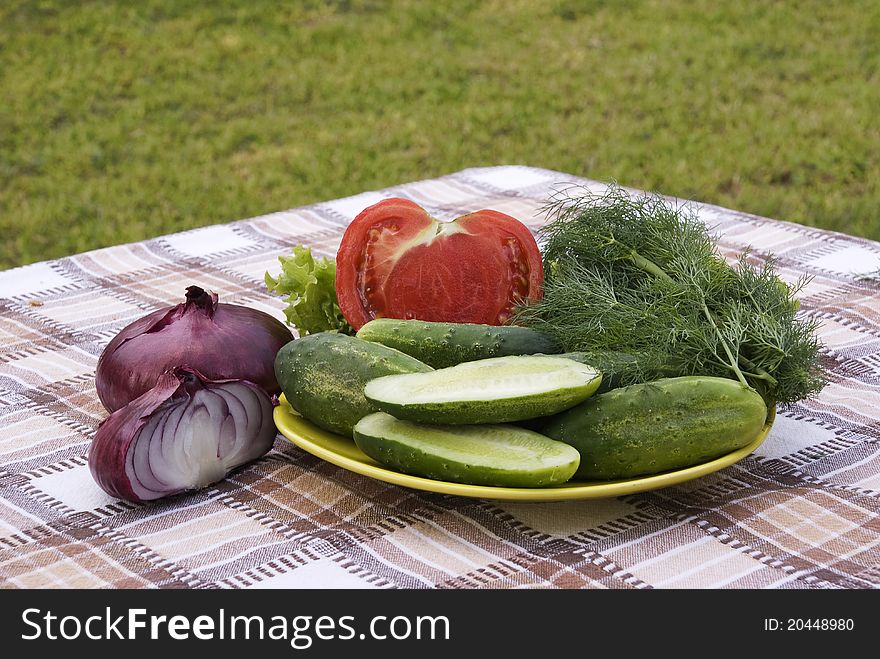 Vegetables on table in garden