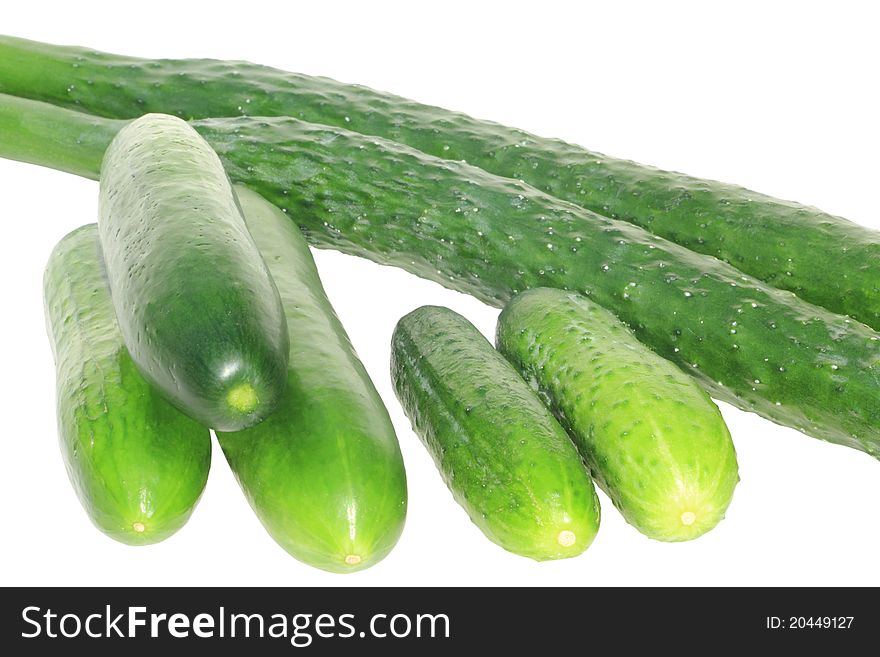 Three sorts of cucumber on white background