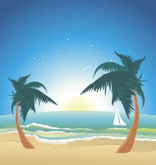 Seaside With Palms-night Stock Images Seaside With Palms-night Stock Images
