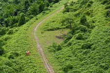 Green Grass Road Stock Image Green Grass Road Stock Image