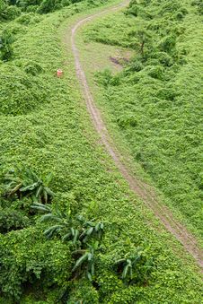 Green Grass Road Royalty Free Stock Photo Green Grass Road Royalty Free Stock Photo