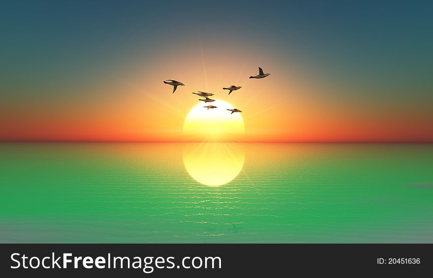 The horizon and wild birds