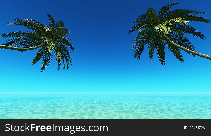The horizon and palm tree. The horizon and palm tree