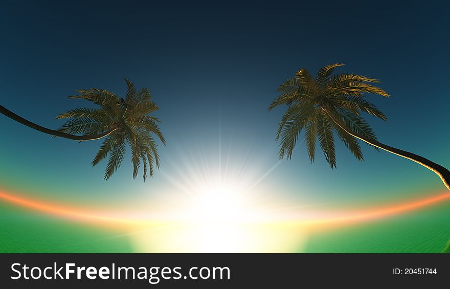 The horizon and palm tree. The horizon and palm tree