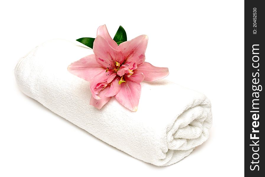 Lily and towel