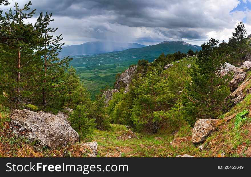 Summer landscape in the mountains