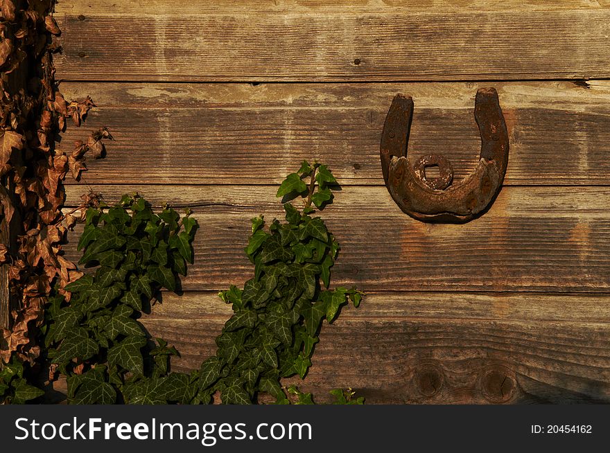Horseshoe for good luck on the wooden wall