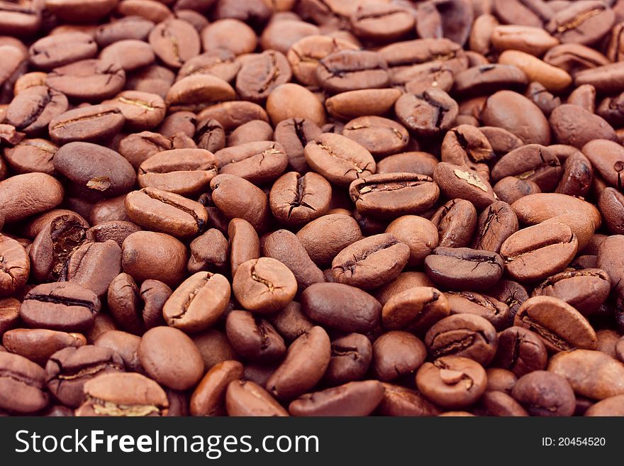 Coffee background - macro of seeds