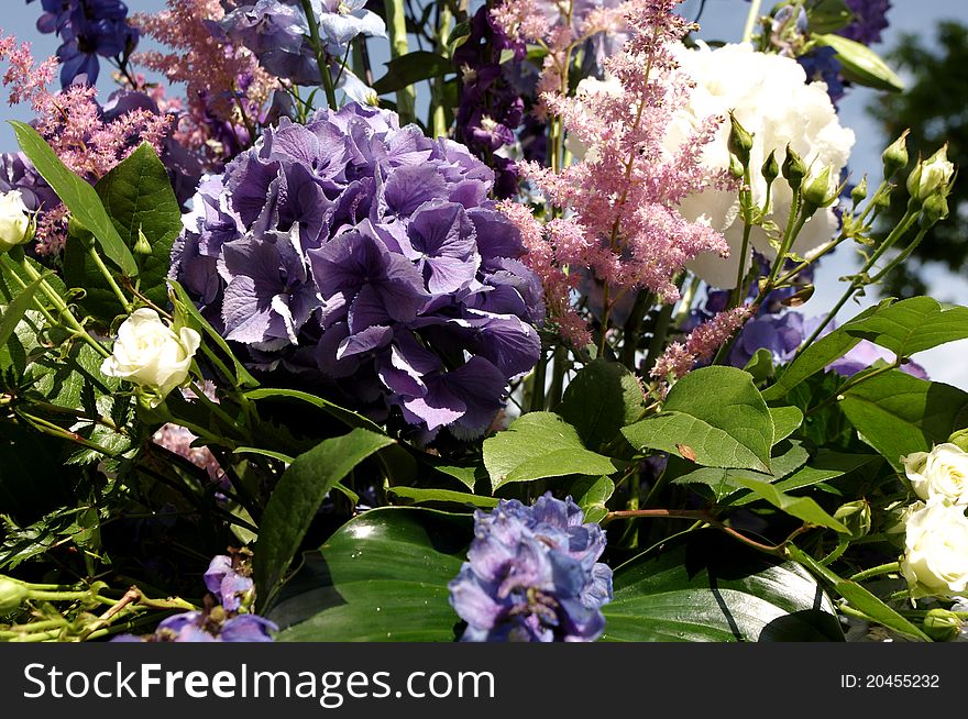 Nice pink and violet flowers in summer day. Nice pink and violet flowers in summer day