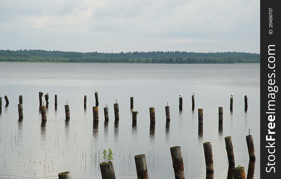Hepoyarvy lake in the Leningradskaya oblast