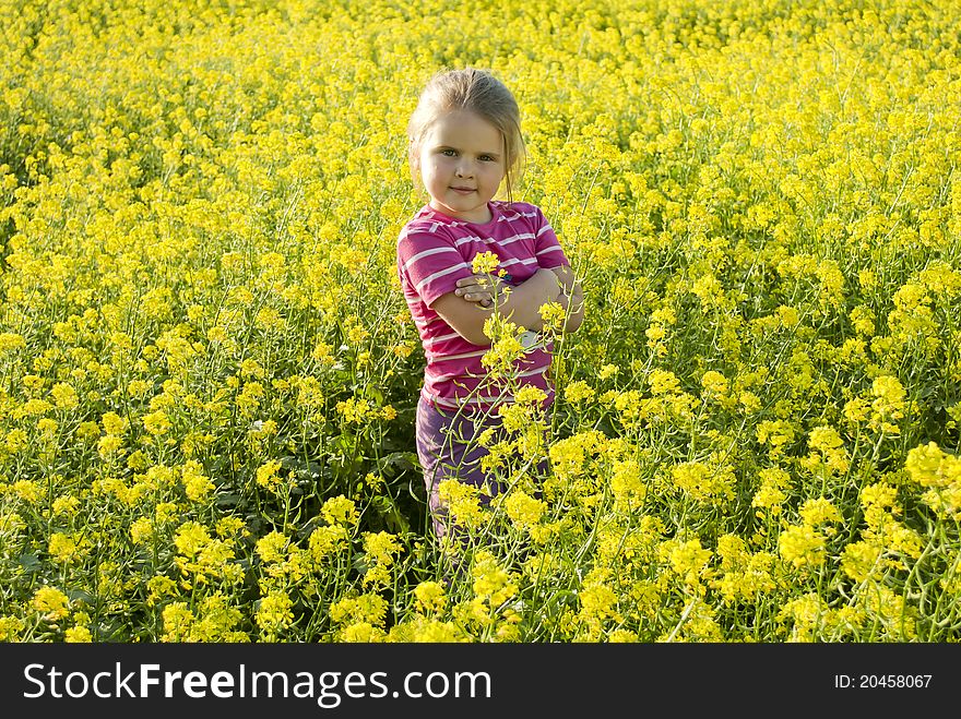 The beautiful child girl on a blossoming yellow meadow. The beautiful child girl on a blossoming yellow meadow