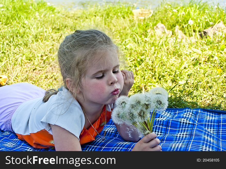 The girl lays on a meadow and holds a bouquet of dandelions in hands. The girl lays on a meadow and holds a bouquet of dandelions in hands