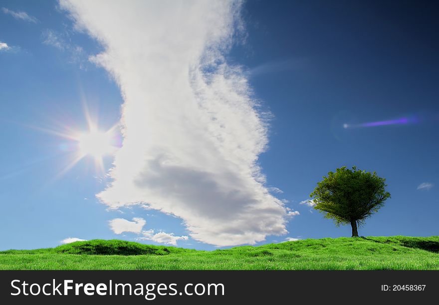 Field And Sky