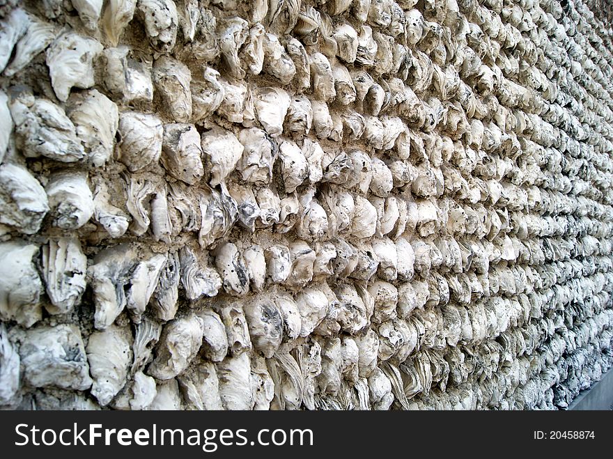 Oysters in the shell wall. Oyster shells assemble the wall, white, became a landscape. Gave rise to another kind of visual enjoyment. Oysters in the shell wall. Oyster shells assemble the wall, white, became a landscape. Gave rise to another kind of visual enjoyment.