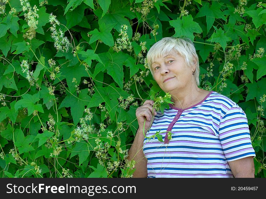 Elderly woman and green bindweed