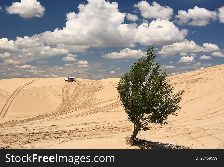 A jeep is driving in desert. A jeep is driving in desert