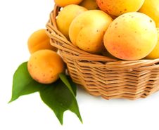 Apricots Royalty Free Stock Photography