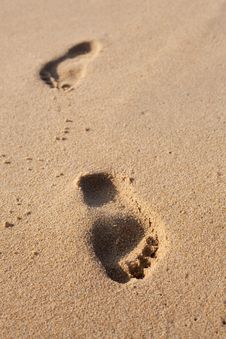 Footprints On The Beach Sand Royalty Free Stock Images Footprints On The Beach Sand Royalty Free Stock Images