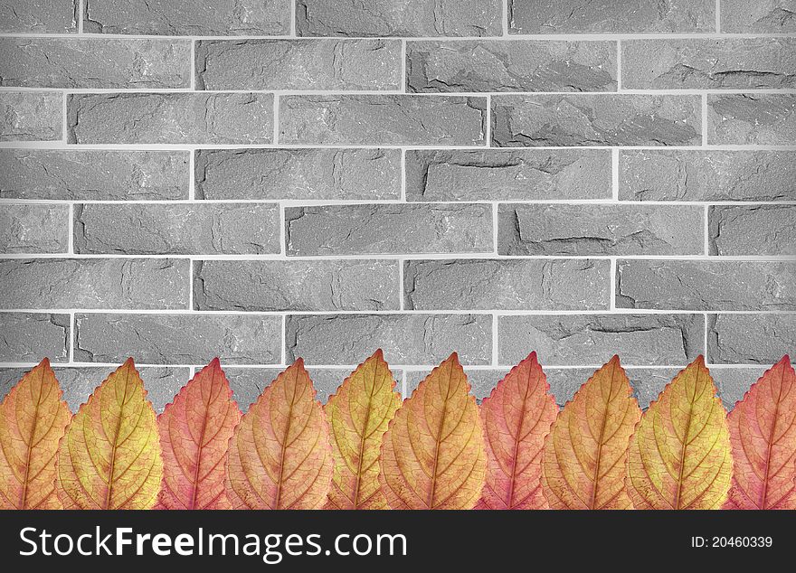 Colorful leaves on grey brick wall