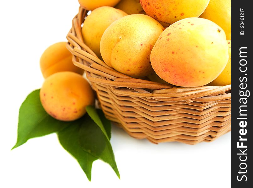 Basket with apricots  on a white background