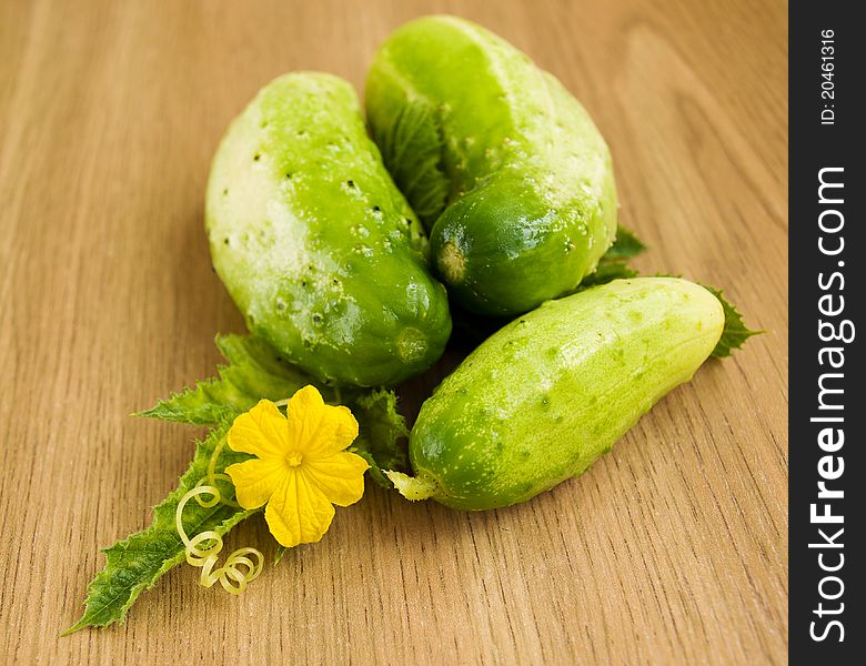 Cucumbers and green leaves on the table