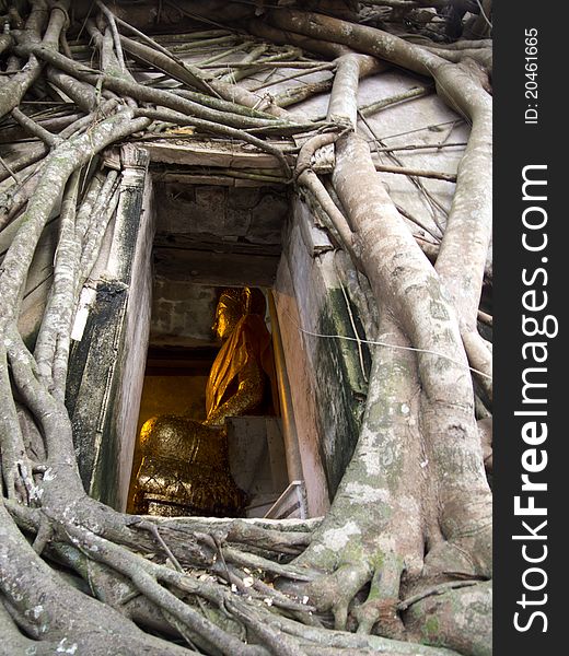 Ancient temple ruin with golden buddha in Thailand