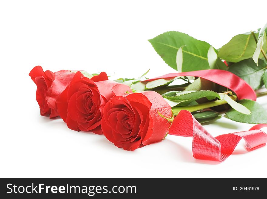 Red rose isolated on white