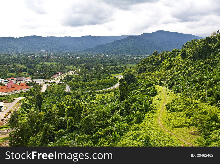 Green pathway beside the hill