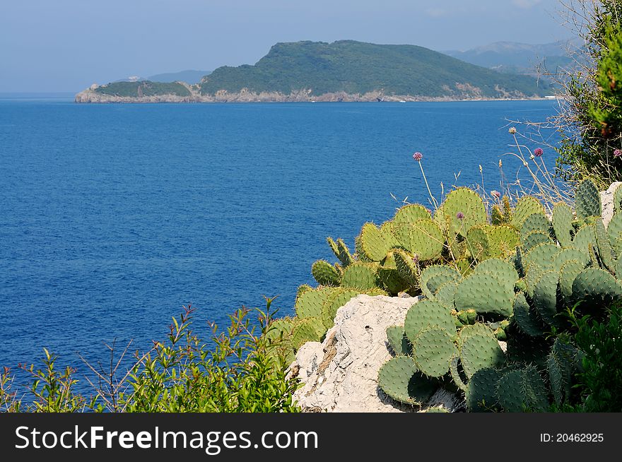 Sea and island with cactus in foreground. Sea and island with cactus in foreground