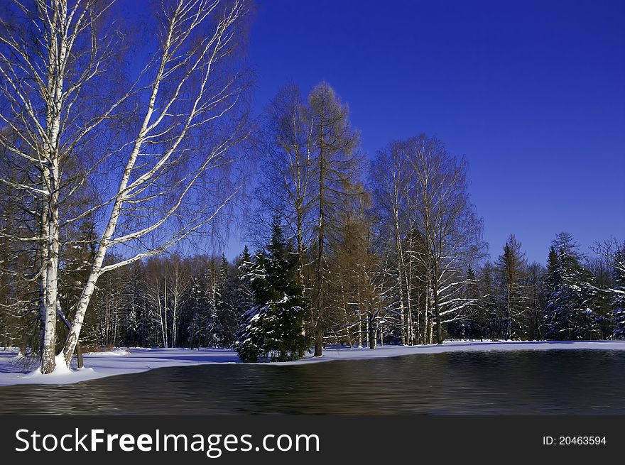 Winter landscape of forest with snow melting