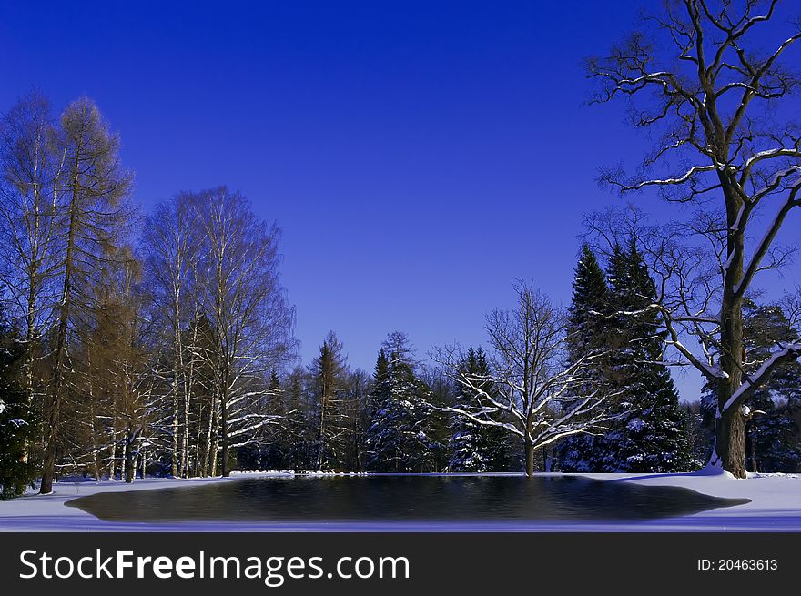 Winter landscape of forest with snow melting