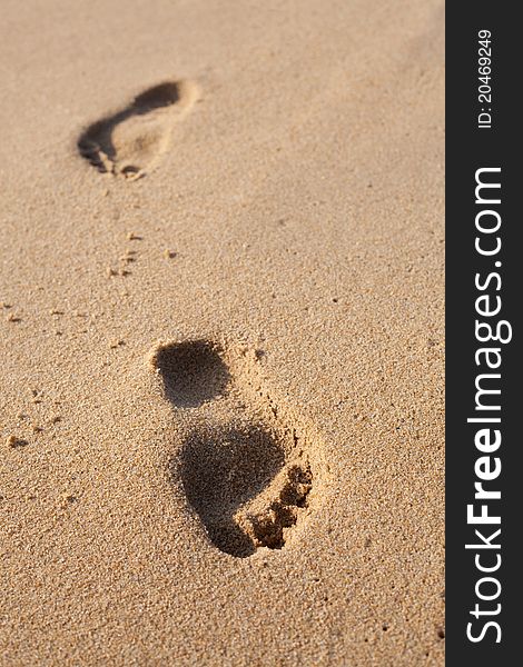 Footprints On The Beach Sand